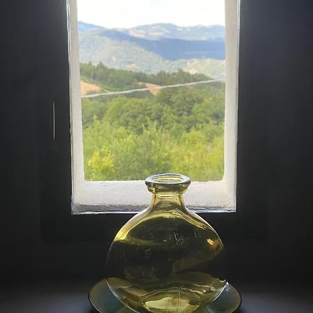 Alojamento de Acomodação e Pequeno-almoço Doubledot 3*